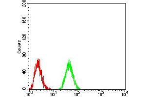 Flow cytometric analysis of K562 cells using DNMT3B mouse mAb (green) and negative control (red). (DNMT3B 抗体  (AA 1-150))