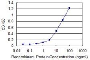 Detection limit for recombinant GST tagged CRY1 is 0. (CRY1 抗体  (AA 1-586))