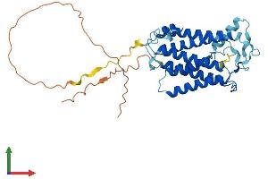 Protein Structure (PS) image for Sphingomyelin Synthase 2 (SGMS2) (AA 1-365) protein (His tag) (ABIN7555509)