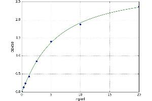 A typical standard curve (ErbB2/Her2 ELISA 试剂盒)