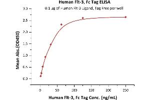Immobilized Human Flt-3 Ligand, Tag Free (ABIN2181107,ABIN3071731,ABIN2693588) at 1 μg/mL (100 μL/well) can bind Human Flt-3, Fc Tag (ABIN6731308,ABIN6809860) with a linear range of 2-31 ng/mL (QC tested). (FLT3 Protein (AA 27-543) (Fc Tag))