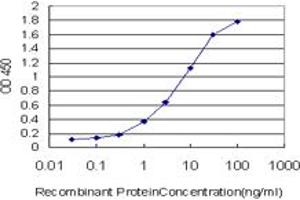 Detection limit for recombinant GST tagged MSH5 is approximately 0. (MSH5 抗体  (AA 736-835))