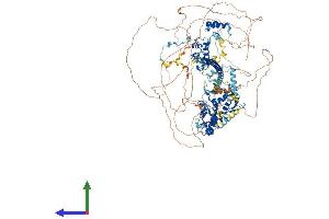 Protein Structure (PS) image for SWI/SNF Related, Matrix Associated, Actin Dependent Regulator of Chromatin, Subfamily C, Member 2 (SMARCC2) (AA 1-1214) protein (His tag) (ABIN7555508)