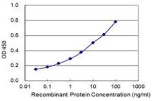 Detection limit for recombinant GST tagged SPATC1 is 0. (SPATC1 抗体  (AA 1-500))
