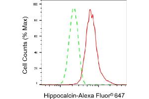 Flow cytometric analysis of Hippocalcin expression in HepG2 cells using Hippocalcin antibody (ABIN7798912), 1:2,000). (Recombinant Hippocalcin 抗体)