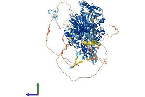 AlphaFold protein structure predicition of Mouse Recombinant Dhx57 Protein, UniprotID Q6P5D3
