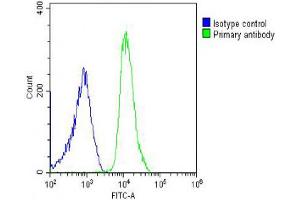 Overlay histogram showing U-2OS cells stained with Antibody (green line). (SH3PXD2B 抗体  (AA 596-628))