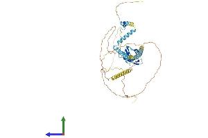 Protein Structure (PS) image for UPF3 Regulator of Nonsense Transcripts Homolog A (UPF3A) (AA 1-476) protein (His tag) (ABIN7555169)