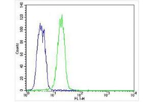 Overlay histogram showing K562 cells stained with (ABIN656663 and ABIN2845904) (green line). (KRT12 抗体  (C-Term))
