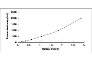 Typical standard curve (OGN ELISA 试剂盒)