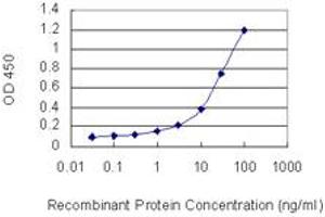 Detection limit for recombinant GST tagged NXPH3 is 0. (NXPH3 抗体  (AA 1-252))