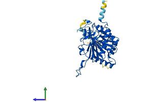 Protein Structure (PS) image for Galactose-1-Phosphate Uridylyltransferase (GALT) (AA 1-379) protein (His tag) (ABIN7556875)