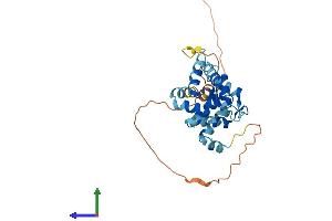 Protein Structure (PS) image for Kv Channel Interacting Protein 2 (KCNIP2) (AA 1-270) protein (His tag) (ABIN7561570)