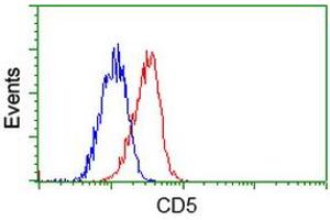 Flow cytometric Analysis of Jurkat cells, using anti-CD5 antibody (ABIN2452892), (Red), compared to a nonspecific negative control antibody (ABIN2452892), (Blue). (CD5 抗体)