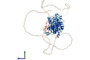 Protein Structure (PS) image for CLK3 (CLK3) (AA 1-638) protein (His tag) (ABIN7553400)