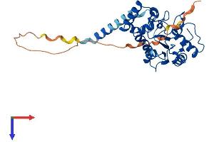 UNG Protein (AA 1-313) (His tag)