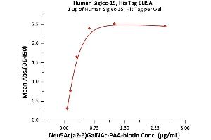 Immobilized Human Siglec-15, His Tag (ABIN6731345,ABIN6809919) at 10 μg/mL (100 μL/well) on streptavidin precoated (0. (SIGLEC15 Protein (AA 20-263) (His tag))