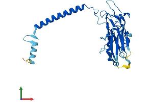 Protein Structure (PS) image for ATPase, Na+/K+ Transporting, beta 3 Polypeptide (ATP1B3) (AA 1-279) protein (His tag) (ABIN7552481)
