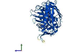 Protein Structure (PS) image for RNA terminal Phosphate Cyclase Domain 1 (RTCD1) (AA 1-366) protein (His tag) (ABIN7551669)