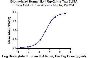 Immobilized Anti-IL-1 Rrp-2 Antibody, hFc Tag at 0. (IL1RL2 Protein (His-Avi Tag,Biotin))