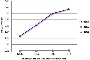 ELISA image for Mouse anti-Hamster IgG1 antibody (HRP) (ABIN5707443)
