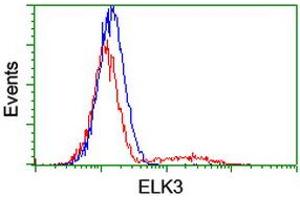 Image no. 3 for anti-ELK3, ETS-Domain Protein (SRF Accessory Protein 2) (ELK3) antibody (ABIN1498005) (ELK3 抗体)