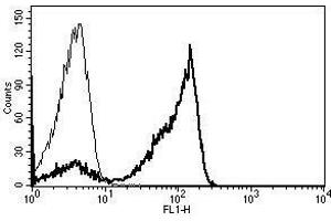 A typical staining pattern with the B-E2 monoclonal antibody of lymphocytes (CD2 抗体)