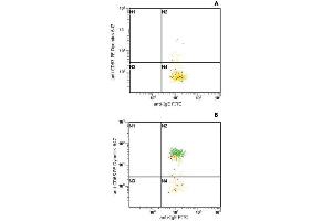 Flow Cytometry analysis of basophil activation upon stimulation of normal (heparin-treated) whole blood with combination of IL-3 and Goat anti-IgE polyclonal antibody. (IgE 抗体  (FITC))