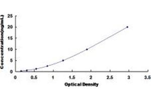 Typical standard curve (HMGA1 ELISA 试剂盒)
