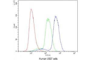 Flow Cytometry (FACS) image for anti-Abl-Interactor 1 (ABI1) antibody (ABIN4952702)