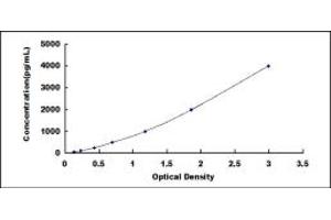 Typical standard curve (VEGFR2/CD309 ELISA 试剂盒)