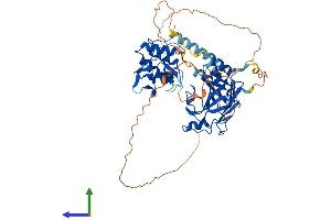 Protein Structure (PS) image for SMAD Family Member 4 (SMAD4) (AA 1-552) protein (His tag) (ABIN7555524)