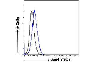 ABIN6391344 Flow cytometric analysis of paraformaldehyde fixed HepG2 cells (blue line), permeabilized with 0. (CTGF 抗体  (Internal Region))