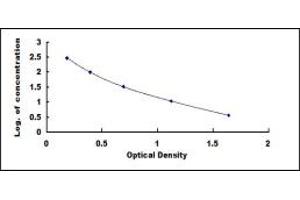 Typical standard curve (Big Dynorphin ELISA 试剂盒)