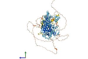 Protein Structure (PS) image for Helicase-Like Transcription Factor (HLTF) (AA 1-1003) protein (His tag) (ABIN7564113)