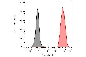 Intracellular flow cytometry analysis of vimentin expression in ESS-1 cells using anti-human vimentin (VI-RE/1) APC. (Vimentin 抗体  (APC))