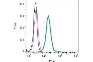 Cell surface detection of TRPV4 by direct flow cytometry in live intact mouse J774 macrophage cells: + Rabbit IgG Isotype Control-PE (ABIN7582046).