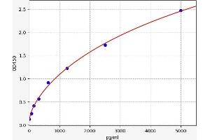 FLT3 ELISA 试剂盒