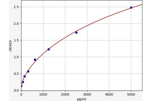 FLT3 ELISA 试剂盒