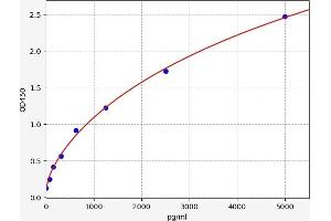 Typical standard curve (FLT3 ELISA 试剂盒)