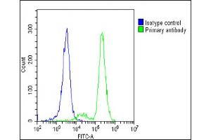 Overlay histogram showing K562 cells stained with (ABIN6242341 and ABIN6578820)(green line). (FADS2 抗体)