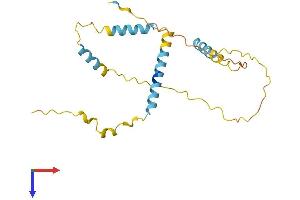 AlphaFold protein structure predicition of Human Recombinant FAM228A Protein, UniprotID Q86W67