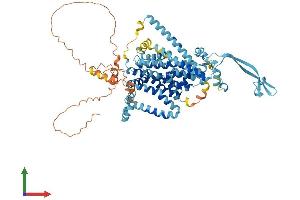 Protein Structure (PS) image for Solute Carrier Family 34 (Sodium Phosphate), Member 2 (SLC34A2) (AA 1-690) protein (His tag) (ABIN7554748)