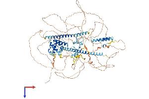 LIMCH1 Protein (AA 1-1083) (His tag)