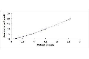 Typical standard curve (CREG1 ELISA 试剂盒)