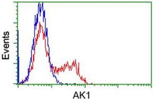 Flow Cytometry (FACS) image for anti-Adenylate Kinase 1 (AK1) antibody (ABIN1496517) (Adenylate Kinase 1 抗体)