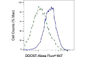 Validation of DDOST knockdown using flow cytometry. (DDOST 抗体)