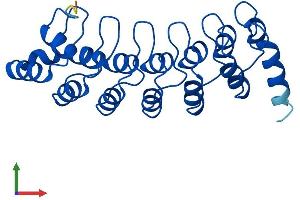 Protein Structure (PS) image for Proteasome (Prosome, Macropain) 26S Subunit, Non-ATPase, 10 (PSMD10) (AA 1-231) protein (His tag) (ABIN7565304)