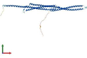Protein Structure (PS) image for Tektin 2 (Testicular) (TEKT2) (AA 1-430) protein (His tag) (ABIN7560221)