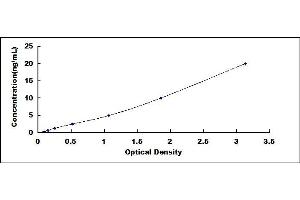 Typical standard curve (FUT8 ELISA 试剂盒)